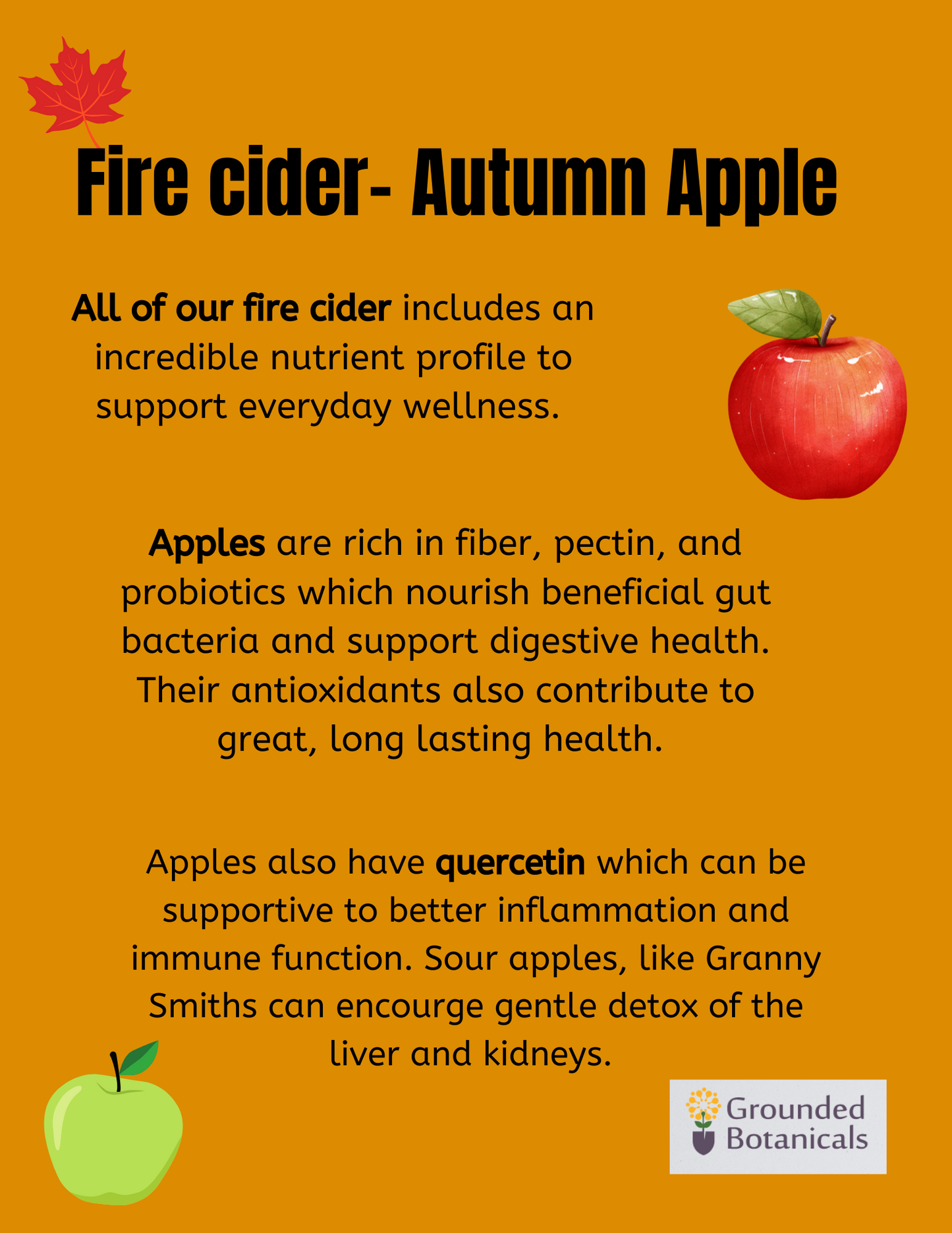 Fire Cider Autumn Apple 8 oz